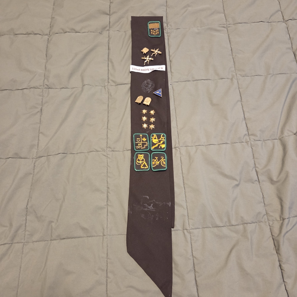 Brownies Sash With Badges And Pins